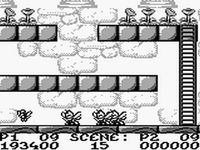 une photo d'Ã©cran de RodLand sur Nintendo Game Boy
